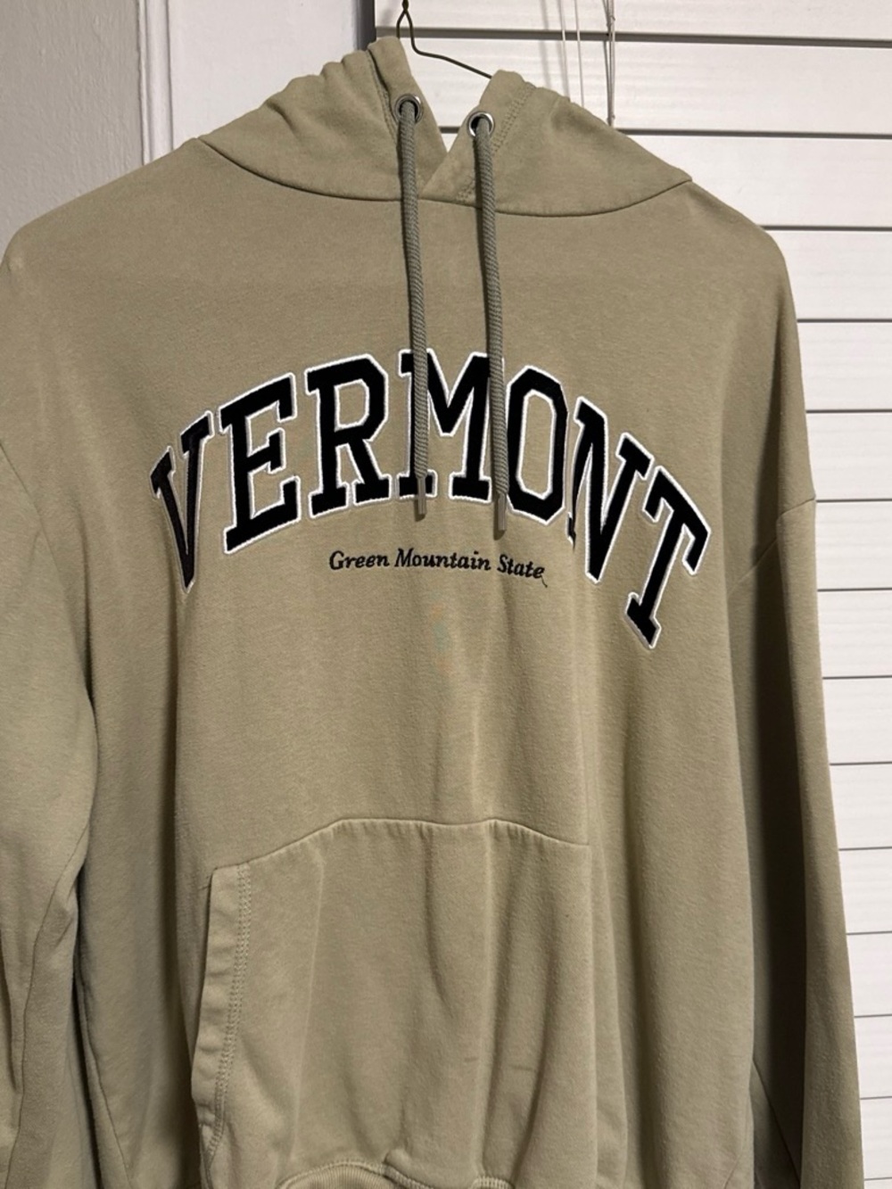 H&M Tan Vermont Green Mountain State Hooded Pullover